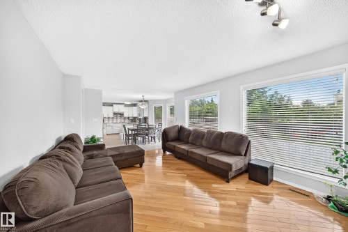 Open-concept living area with wood-finish flooring, white walls, and multiple windows - 4216 47 Street Nw, Edmonton, AB 