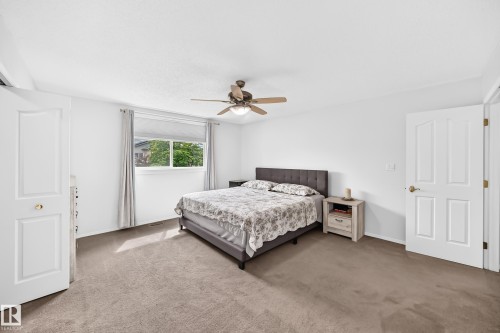 Expansive room with neutral carpeting, a ceiling fan with integrated lighting, and a large window - 4216 47 Street Nw, Edmonton, AB 