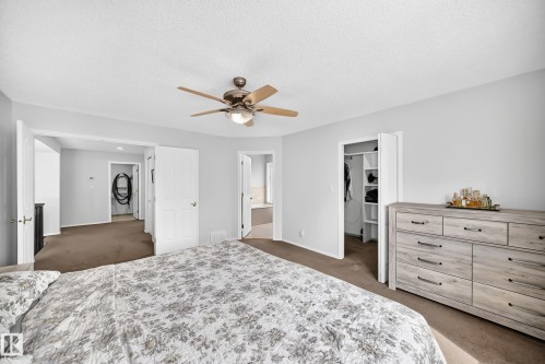 Ceiling fan with integrated lighting - 4216 47 Street Nw, Edmonton, AB 