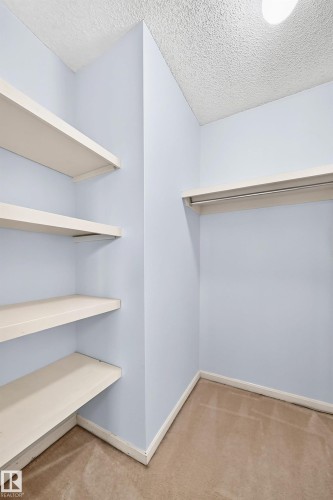 Built-in shelving, hanging rod, neutral wall color, carpeted flooring, and overhead lighting - 17915 99A Avenue Nw, Edmonton, AB 