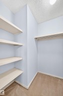 Built-in shelving, hanging rod, neutral wall color, carpeted flooring, and overhead lighting - 