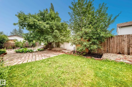 Expansive backyard featuring a brick paver patio, mature apple and cherry trees, and a wooden - 17915 99A Avenue Nw, Edmonton, AB 