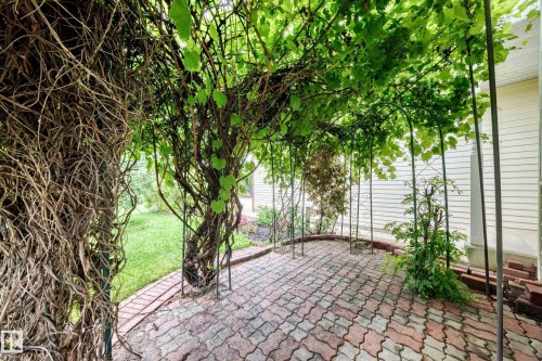 Front patio under the grape vines - 17915 99A Avenue Nw, Edmonton, AB 