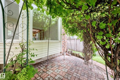 Paved patio with decorative pavers, mature overhead Grape vine - 17915 99A Avenue Nw, Edmonton, AB 