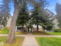 #18 9926 80 AV NW Edmonton, AB T6E 6L5