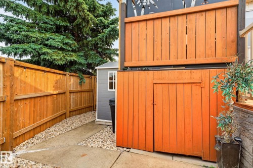 Concrete pathway bordered by aggregate leads to a compact storage shed - 9530 174 Avenue Nw, Edmonton, AB - Outdoor With Exterior