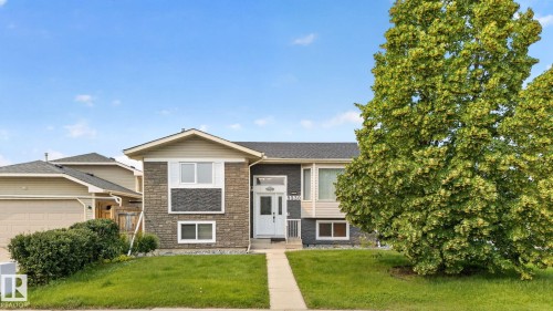 Split-level home featuring stone and siding exterior, a white entry door, and a mature tree - 9530 174 Avenue Nw, Edmonton, AB - Outdoor With Facade