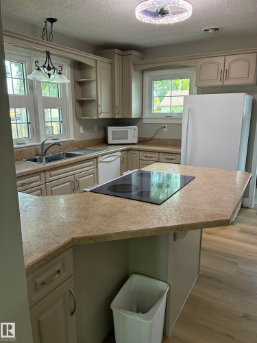 5240 55 Avenue, Viking, AB - Indoor Photo Showing Kitchen With Double Sink
