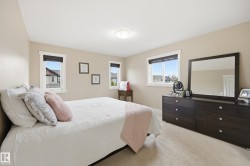 Neutral wall paint, light-toned carpeting, white trim windows, and a flush mount ceiling light fixture - 