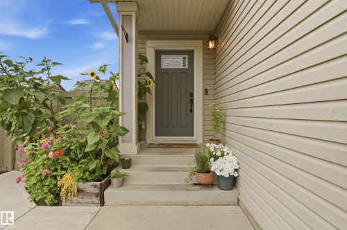 Entryway featuring a paneled door with decorative glass, concrete steps, a covered porch, and horizontal siding - 1564 36 Avenue Nw, Edmonton, AB 
