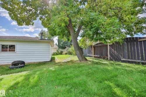 Expansive grassy yard with a mature tree - 9 Hawkins Crescent, Sherwood Park, AB 