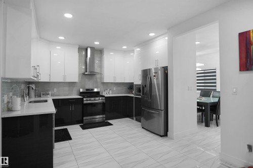 6532 175 Avenue Nw, Edmonton, AB - Indoor Photo Showing Kitchen With Upgraded Kitchen