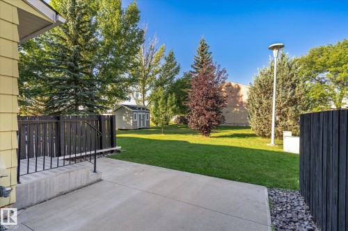 Expansive lawn area with mature trees, concrete patio, and a dedicated storage shed - 17325 85 Avenue Nw, Edmonton, AB 