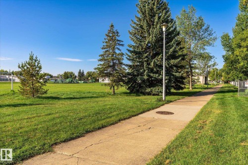 Paved pathway bordered by manicured lawns and mature evergreen trees - 17325 85 Avenue Nw, Edmonton, AB 