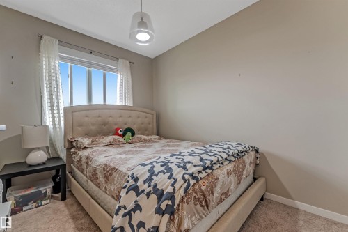 Plush carpeted room featuring a window with blinds and sheer curtains, a single overhead light fixture, and neutral painted walls - 1514 26 Avenue Nw, Edmonton, AB - Indoor Photo Showing Bedroom