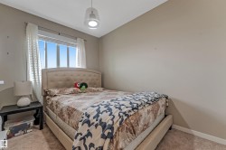 Plush carpeted room featuring a window with blinds and sheer curtains, a single overhead light fixture, and neutral painted walls - 