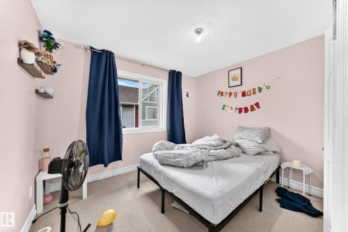 Single window with white trim, light-colored carpeting, white baseboards, and a ceiling-mounted light fixture - #146 655 Tamarack Rd Nw, Edmonton, AB 