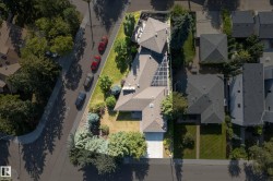 Expansive lot featuring mature trees, a paved driveway, and solar panels - 