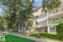 #52 9908 80 Av Nw, Edmonton, AB 