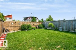 Expansive green lawn with a privacy fence - 