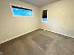 Neutral wall paint, carpeted flooring, and two windows providing natural illumination - 