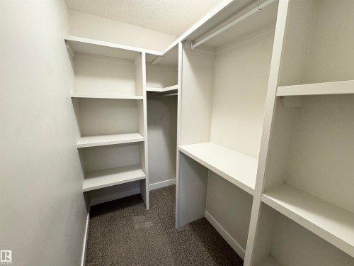 Built-in shelving, hanging rod, and carpeted flooring - 12046 89 Street Nw, Edmonton, AB 