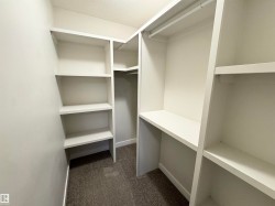 Built-in shelving, hanging rod, and carpeted flooring - 