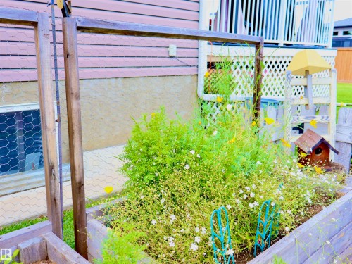 Raised garden bed with established plantings - 6003 50 Ave, Barrhead, AB 