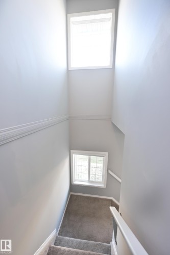 Carpeted staircase with white handrails and two windows providing natural light - 8127 7 Avenue Sw, Edmonton, AB 