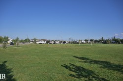 Expansive green space featuring two soccer goals and mature trees - 