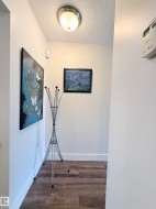 Wood-finish flooring with white trim and neutral wall paint - 