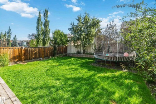 Grassed backyard featuring a wood fence, mature trees, and shrubs - 7 Etoile Cres, St. Albert, AB 