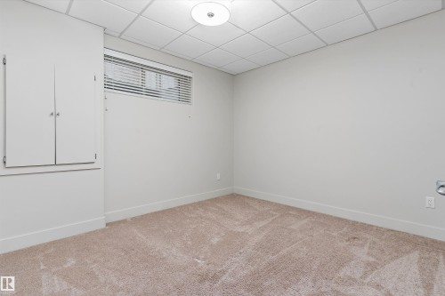 Neutral wall paint, plush carpeting, built-in storage cabinet, horizontal window blinds, and overhead flush-mount lighting - 17535 110 Street Nw, Edmonton, AB 