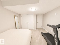Recessed lighting, light gray carpet, and a built-in closet with double doors - 
