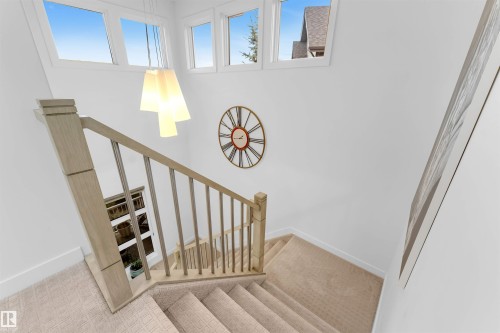 Carpeted staircase with light wood newel posts and handrails, featuring white risers and multiple transom windows - 718 Charlesworth Way Sw, Edmonton, AB 