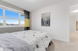 Bright window with white framing - 