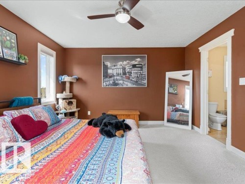 Hardwood headboard with a floating shelf, ceiling fan, and carpeted flooring - 496 Ravine Court, Devon, AB 