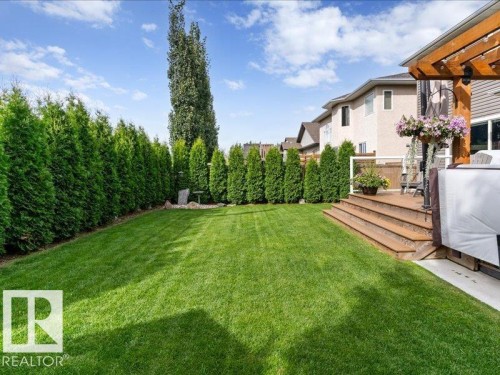 Expansive lawn with a mature hedge, featuring a multi-level wood-finish deck with steps and a wood pergola structure - 496 Ravine Court, Devon, AB 