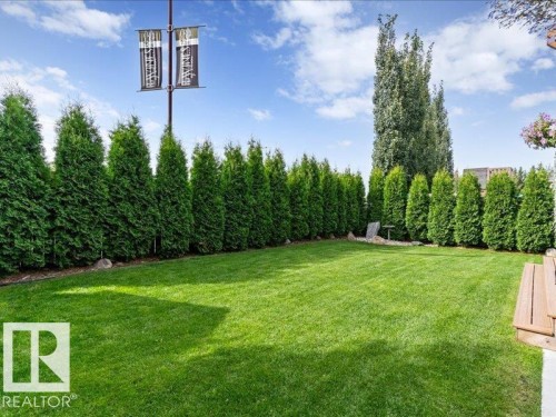 Expansive backyard featuring a manicured lawn, established privacy hedges, and mature trees - 496 Ravine Court, Devon, AB 