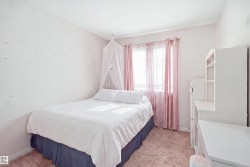Carpeted flooring, window with natural light, and built-in shelving - 