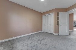 Plush grey carpeting, painted walls, white bi-fold closet doors, and built-in shelving - 