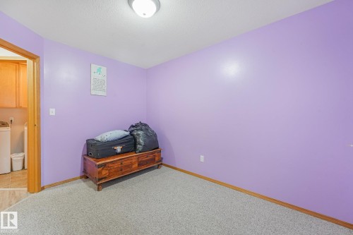 Room featuring purple wall paint, light-colored carpet, wood-finish baseboards, and a flush-mount ceiling light fixture - 54 Buskmose Dr, Rural Wetaskiwin County, AB - Indoor