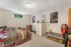 Carpeted room featuring a drop ceiling, a single window, and a flush-mount ceiling light fixture - 