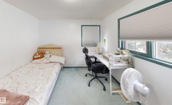 White walls with green trim, light blue carpet, and windows with horizontal blinds - 