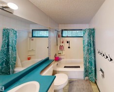 Tub and shower combination with a glass block window and a built-in shelf - 