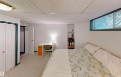 Recessed wall shelving, drop ceiling, and a high-set window - 