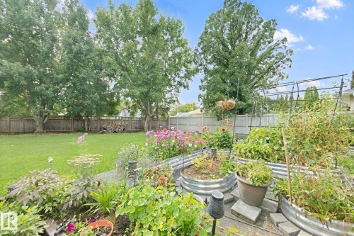 Expansive backyard featuring a manicured lawn, established garden beds, and mature perimeter trees - 5 Labelle Crescent, St. Albert, AB 
