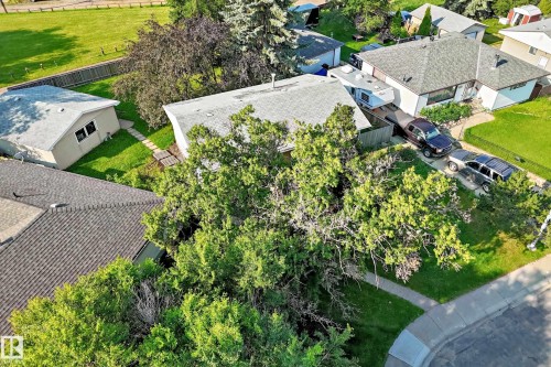 Single-story home featuring a gray shingle roof, light-colored siding, a paved driveway, and mature landscaping - 15703 84 Avenue Nw, Edmonton, AB - Outdoor