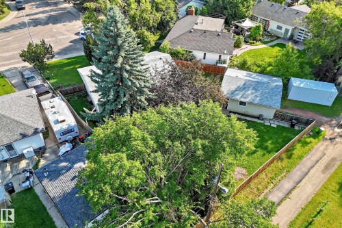 Spacious property with a large, mature evergreen tree, multiple outbuildings, and extensive grass areas - 15703 84 Avenue Nw, Edmonton, AB - Outdoor