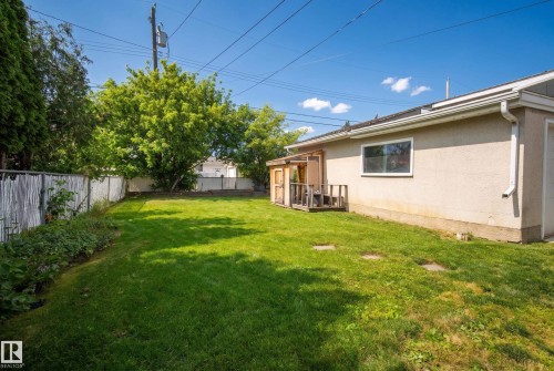 Expansive rear yard with a manicured lawn, established landscaping, and a chain-link fence - 13512 111 Street Nw, Edmonton, AB 